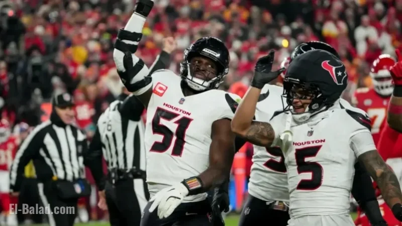 NFL Week 15: Arizona Cardinals vs Houston Texans Predictions and Odds