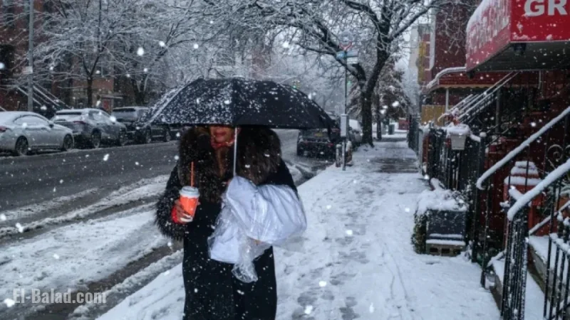 Northeast Sees Heavy Snowfall While Pacific Northwest Prepares for More Rain