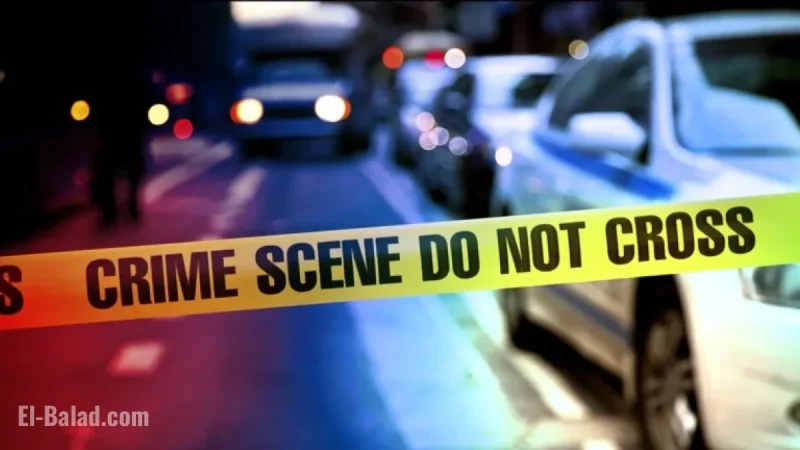Ubano Diaz Fatal Stabbing: Suspect Detained in Cicero Incident