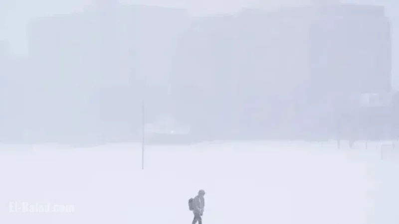 Canada Braces for Severe Winter Storms: Rain and Snow Forecasted