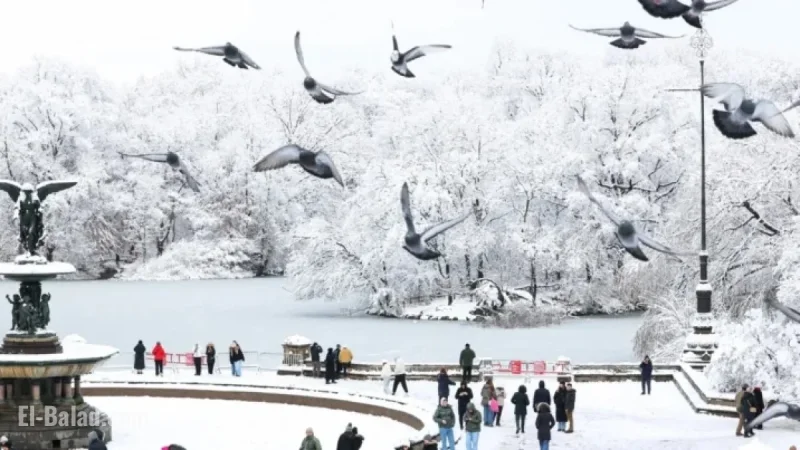 Frigid Winter Weather Hits Nation with Icy Temperatures and Heavy Rainfall