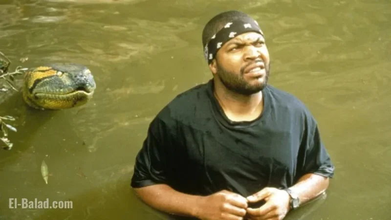 Ice Cube Hints at ‘Anaconda’ Cameo in ‘Full Circle’