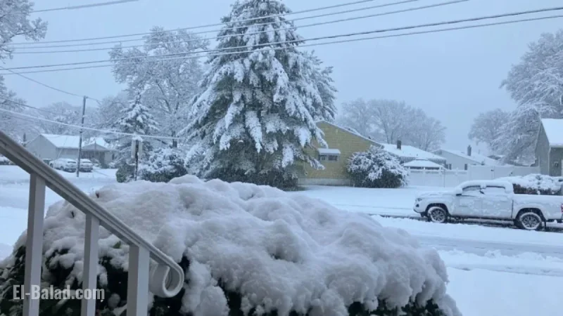 N.J. Snowfall Reaches 8 Inches in Areas: County Reports Inside
