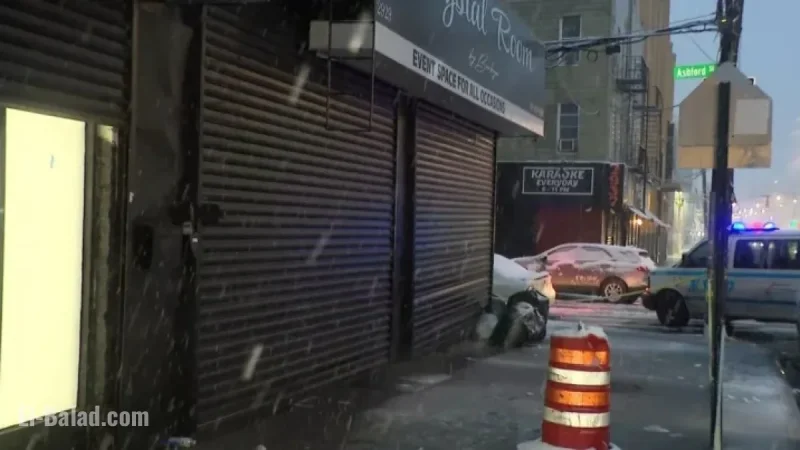 Six Teens Shot After Brooklyn Sweet 16 Party, Say NYC Police