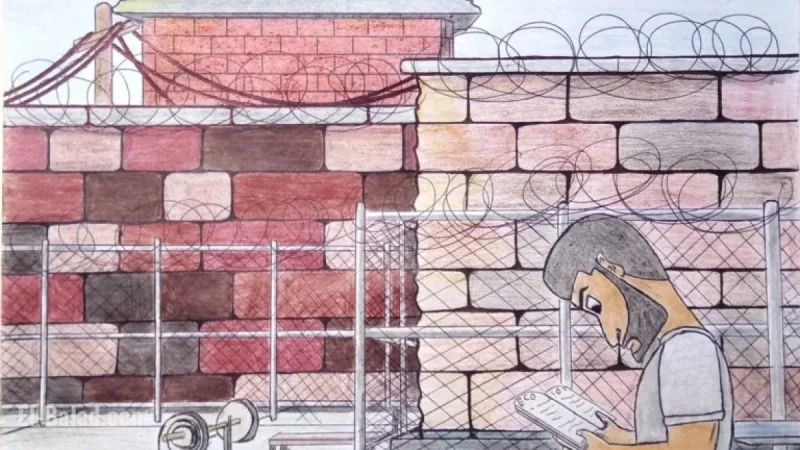 Transforming Inmates: How Education Unlocks Freedom in Prisons