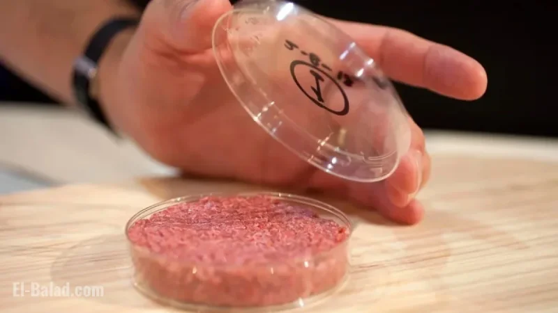 Vegan Environmentalist Advocates for Meat as the Future Solution