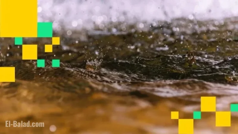 Bitcoin Crashes: $500M Lost in Latest Liquidations