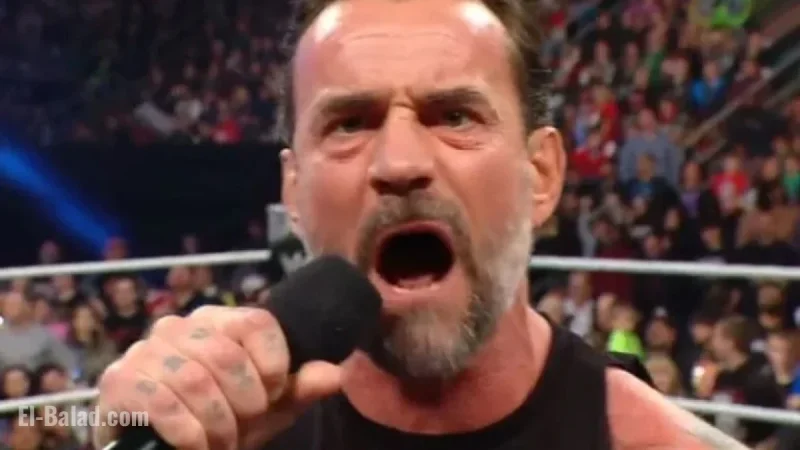 CM Punk Criticizes Steiner Brothers Following AJ Lee Mention on WWE RAW