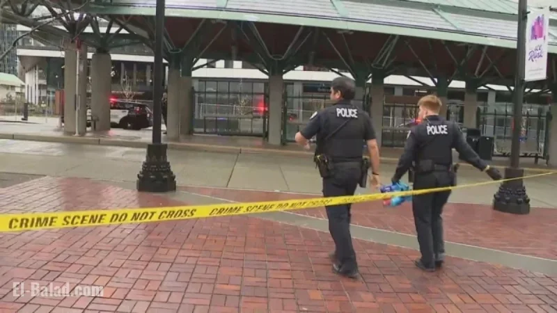 Police Lured by Fake 911 Call, Stabbing Ensues at Bellevue Transit Center