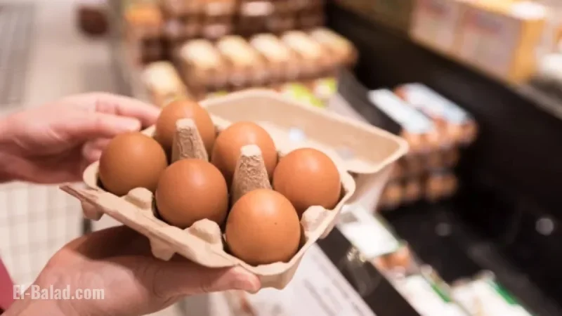 Salmonella Outbreak: Egg Recall Issued After Dozens Sickened, 13 Hospitalized