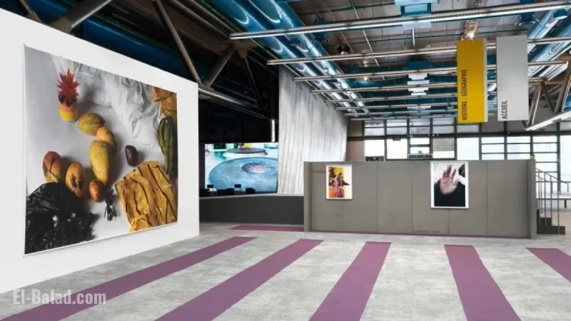 Top 2025 Exhibitions Picked by Curators and Museum Directors