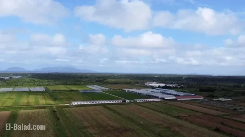 US to Halt Fiji Aid Over Doomsday Cult Impunity