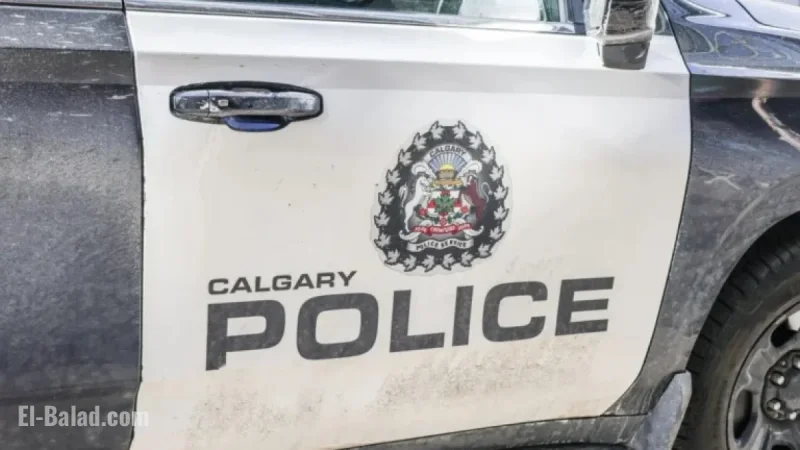 Fatal Single-Vehicle Crash Claims Life on Calgary’s Glenmore Trail