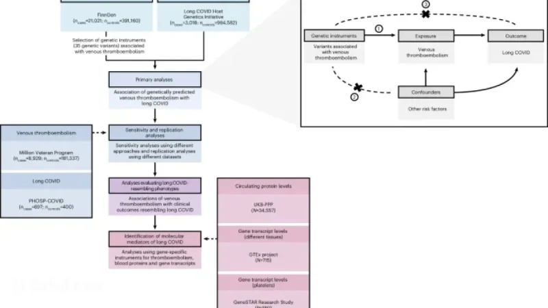 Genetic Links to Thromboembolism in Long COVID Uncovered in Europeans