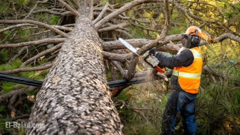 High Winds Leave Nearly 100,000 Without Power in Spokane Region