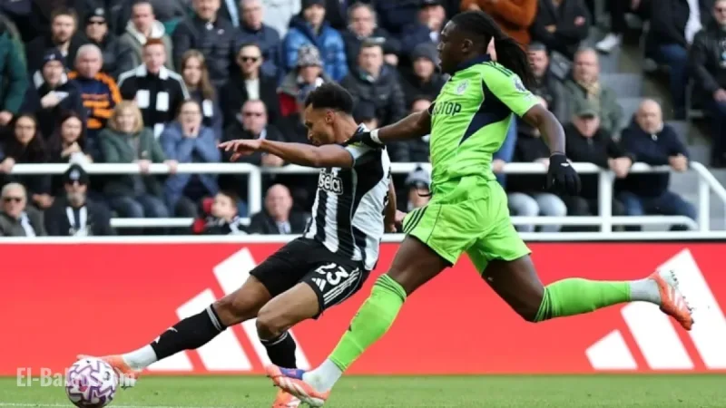 Newcastle vs Fulham: TV Details, Kick-off Time & Team News