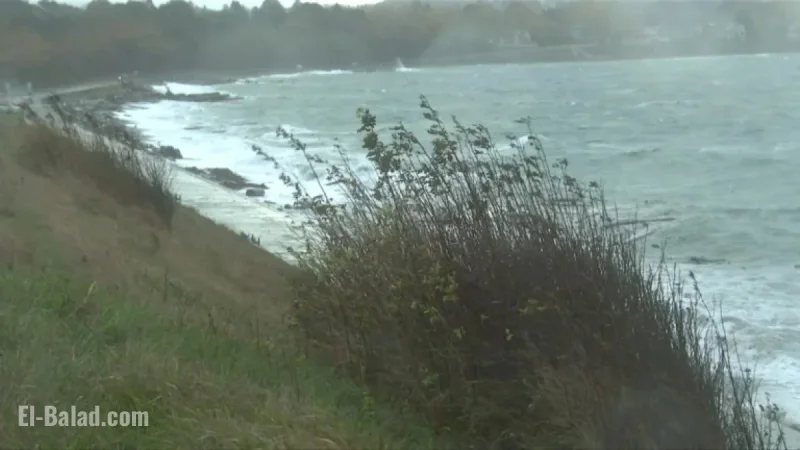 Rain and Wind Warnings Issued for Vancouver Island: Gusts Up to 100 km/h