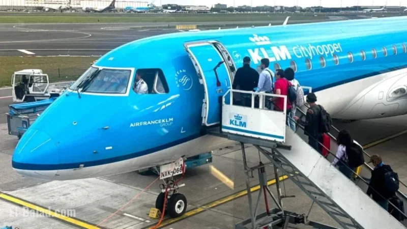 Rat Infestation Forces Vacation Flight Cancellation