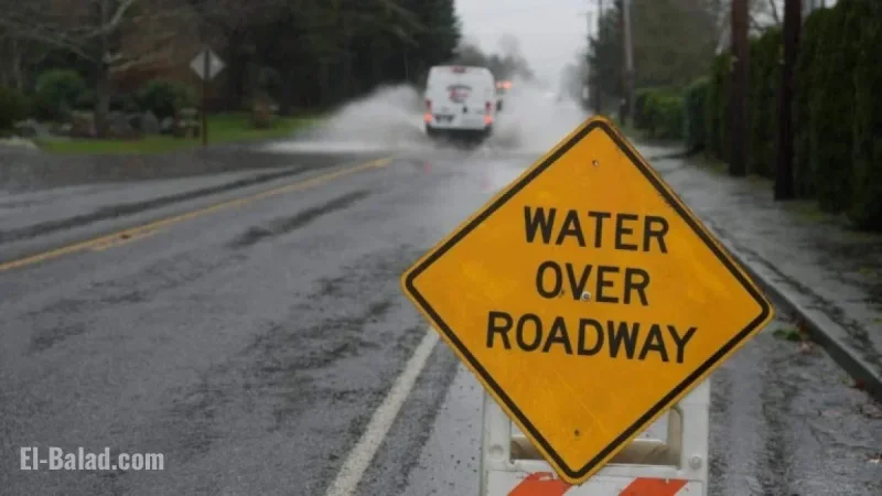 Severe Weather Targets Whatcom County with Power Outages and Heavy Rain