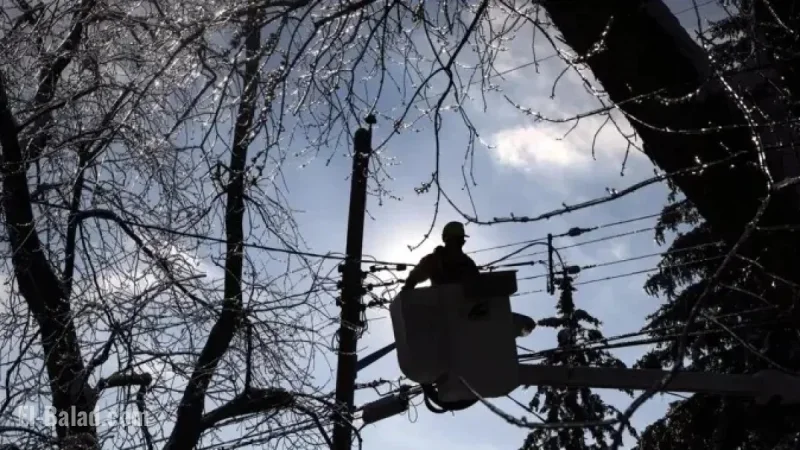 Windstorm Cuts Power for Over 90,000 BC Hydro Customers