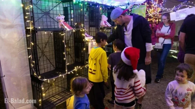 37th Street Lights’ Petting Zoo Swaps Stuffed Animals for Interactive Activities