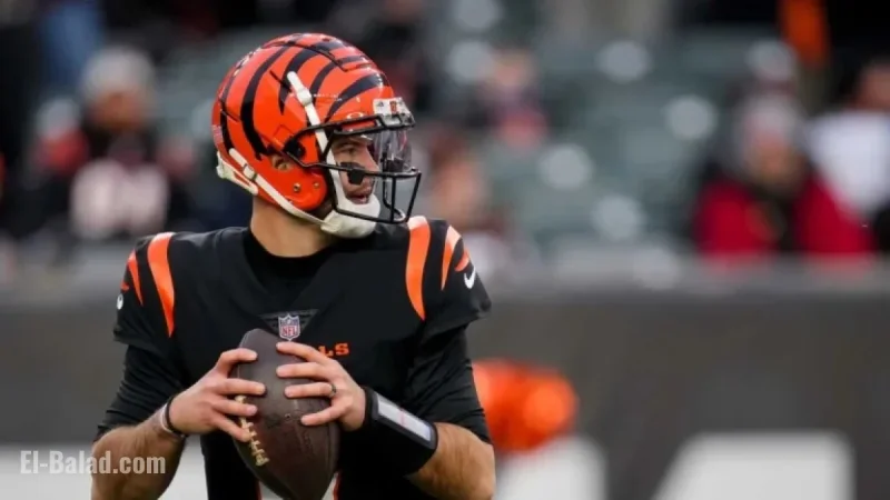 A.J. McCarron to Lead Birmingham Stallions as Head Coach in UFL