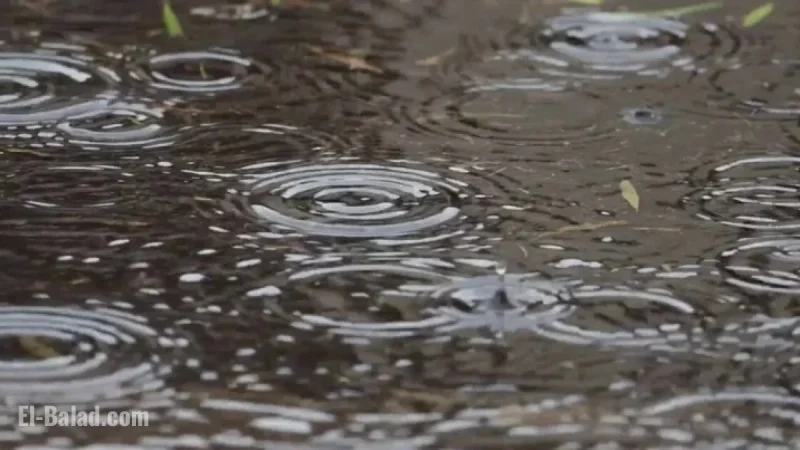 Breezy Winds and Showers Set to Move In Today