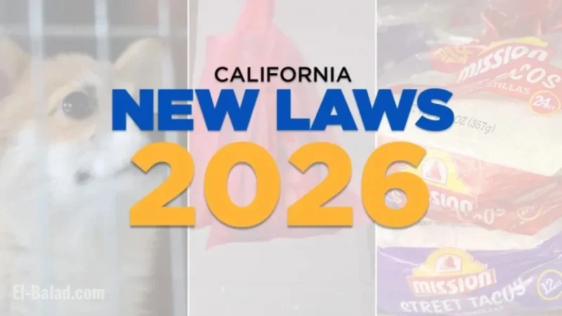 California’s 2026 Laws: Ban Plastic Bags, Revamp Streaming, Control Chatbots
