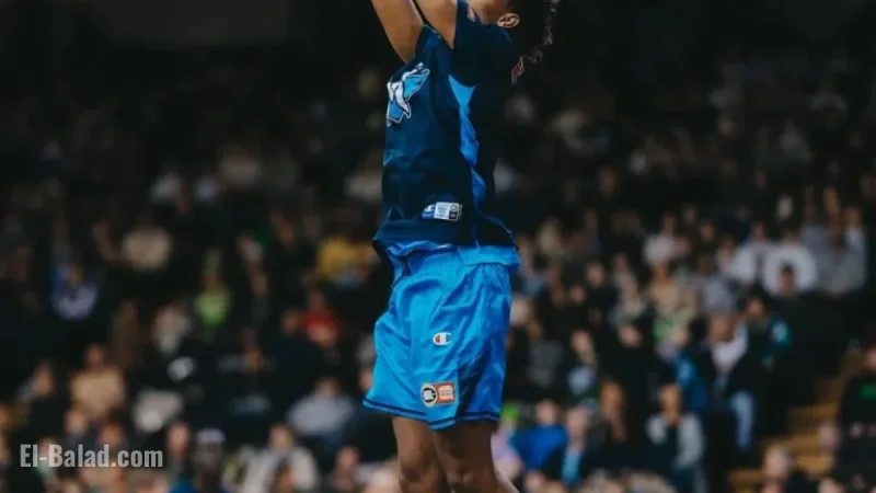 NBL26 Christmas: The Ultimate Festive Gift for Basketball Fans