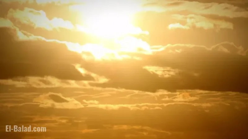Today’s Kensington Gardens Weather: What to Expect