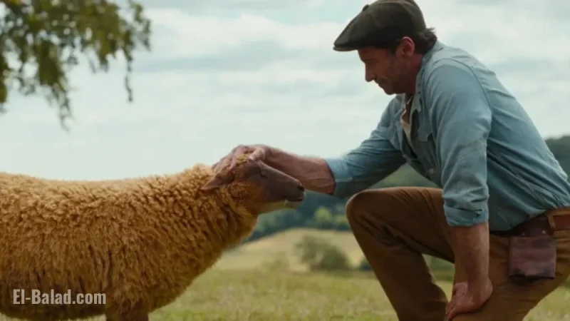 “Watch the Official Trailer for The Sheep Detectives”