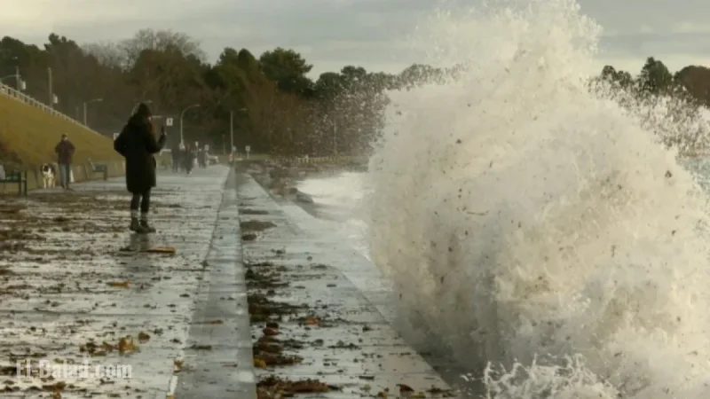 Wind Advisory Issued for Greater Victoria Area