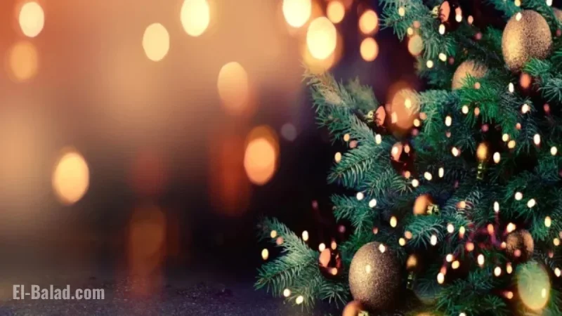 Christmas Forecast: Expect Drier, Colder Weather Conditions
