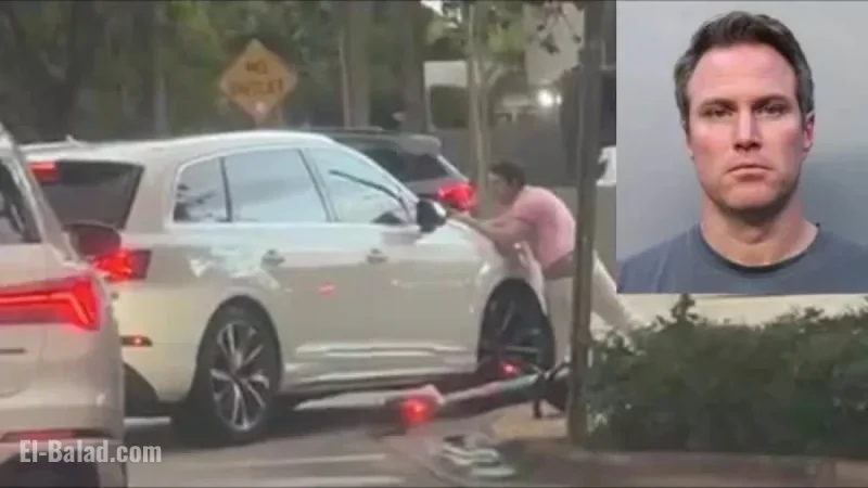 Devon Aoki’s Husband Injures Man in Coral Gables Hit-and-Run, Police Report