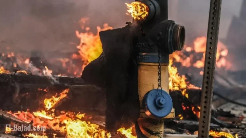 January Fires in L.A.: Dry Hydrants Spur Residents to Demand Solutions