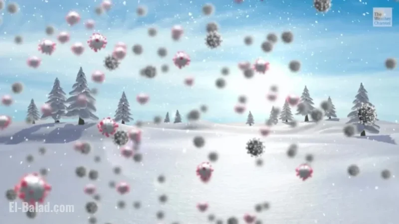 Norovirus Cases Surge with Winter Onset