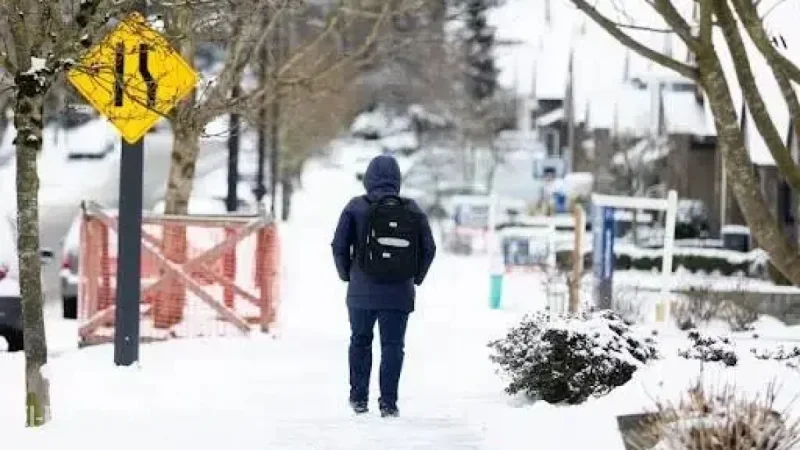 Surrey, White Rock, Lower Mainland Unlikely to See a White Christmas