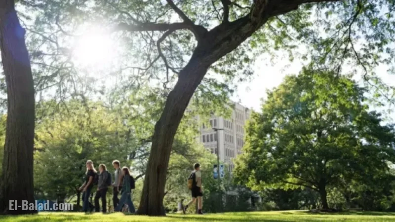 Tree Maintenance and Removal on Campus Starts Thursday