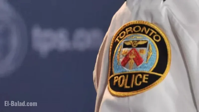 TTC Bus Hits Pedestrian, Injures Victim in Etobicoke: Police Report
