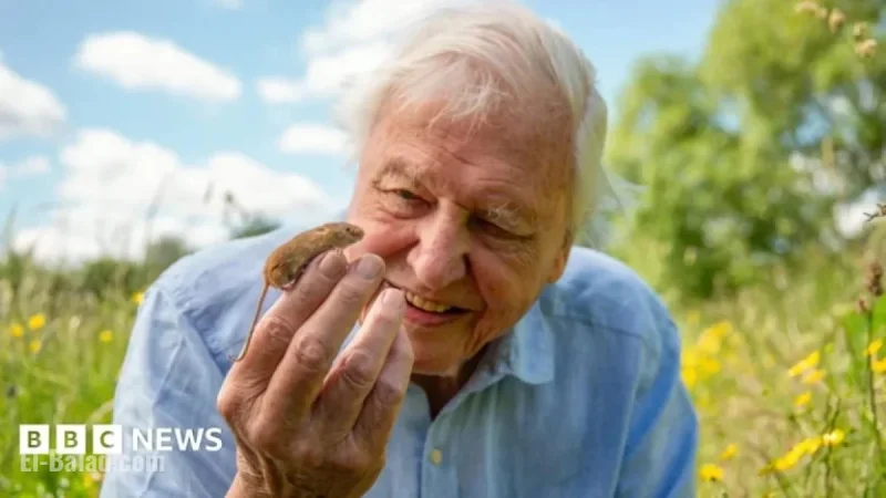 Why David Attenborough Chooses London as His Exclusive Home