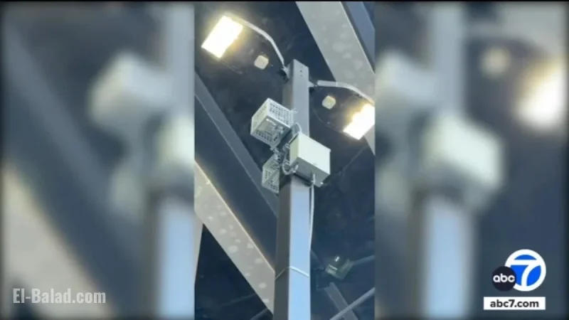 Los Angeles Day Laborers Protest Noise Machines at Cypress Park Home Depot