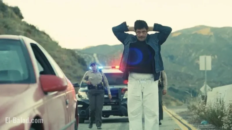 Top 2025 Films Revealed: Audience Favorites
