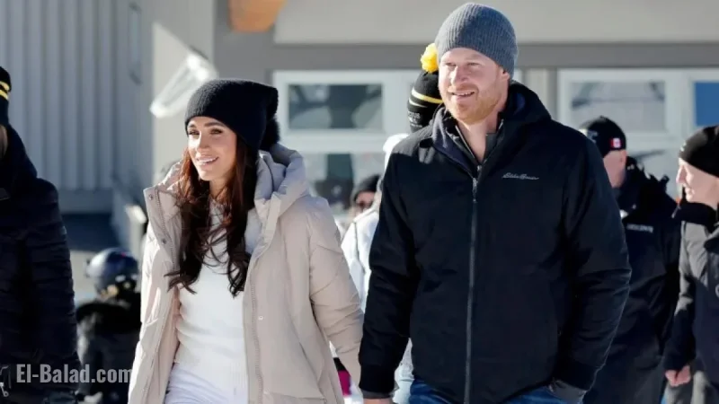 Prince Harry and Meghan Markle Overhaul Archewell Charity Structure