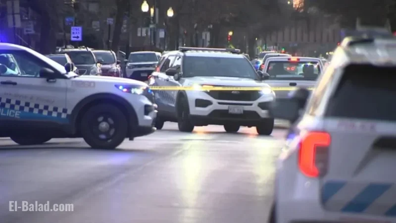 SWAT and Chicago Police Address Disturbance in Irving Park Near Addison