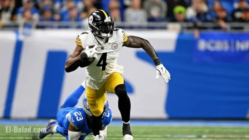 Alternate Angle of DK Metcalf Fan Punch Video Emerges from Steelers Game