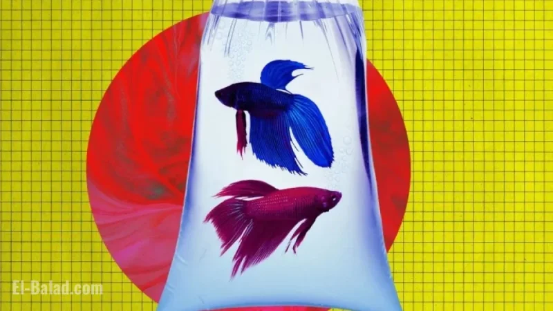 Anthropic’s AI Bankrupts Vending Machine by Ordering PlayStation 5 and Fish