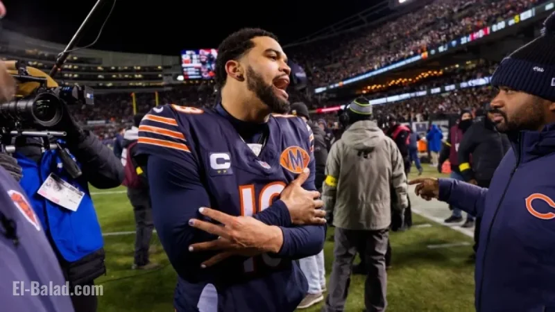 Bears, 49ers Secure Playoff Places After Lions’ Defeat