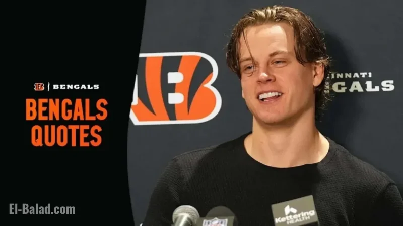 Bengals and Ravens Share Insights After Week 15 Clash 2025