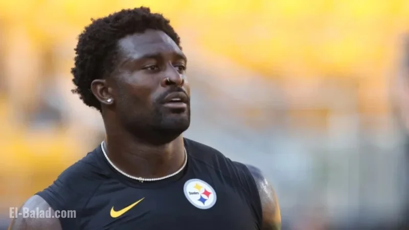 DK Metcalf Previously Reported Same Lions Fan to Seahawks Security in 2024