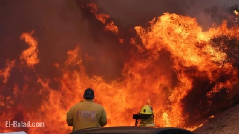 LAFD Records Reveal Edited Palisades Fire Report